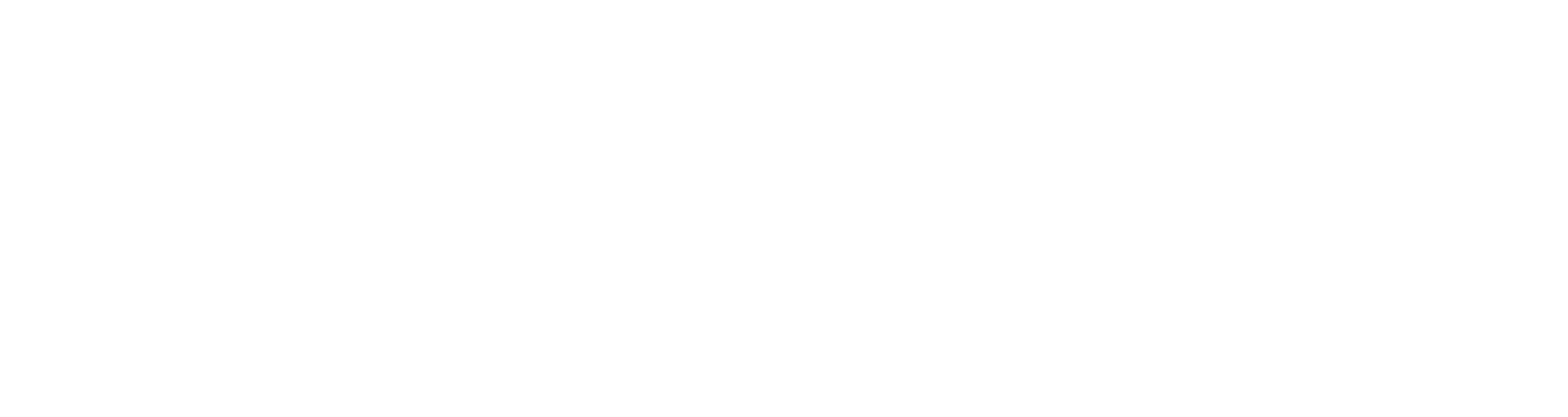 Kids and Nits logo bijeli – Zbogom uši!
